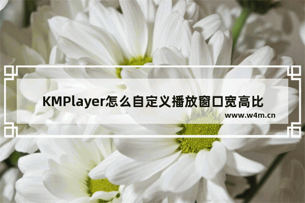 KMPlayer怎么自定义播放窗口宽高比-KMPlayer自定义播放窗口宽高比的方法