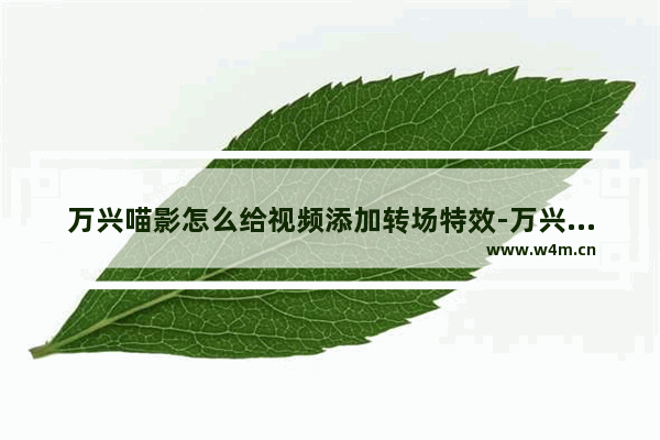 万兴喵影怎么给视频添加转场特效-万兴喵影给视频添加转场特效的方法