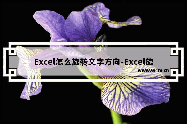 Excel怎么旋转文字方向-Excel旋转文字方向的方法