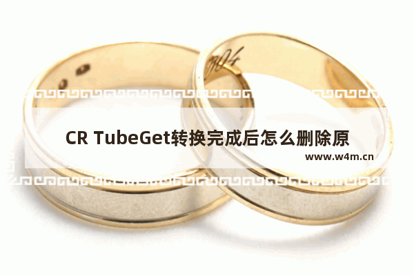 CR TubeGet转换完成后怎么删除原视频-CR TubeGet转换完成后删除原视频的方法