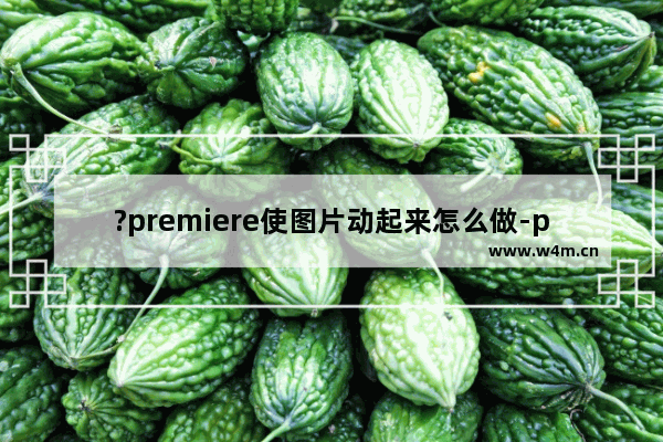 ?premiere使图片动起来怎么做-pr制作图片动态效果的方法教程