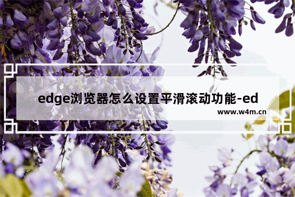 edge浏览器怎么设置平滑滚动功能-edge浏览器打开平滑滚动功能的方法