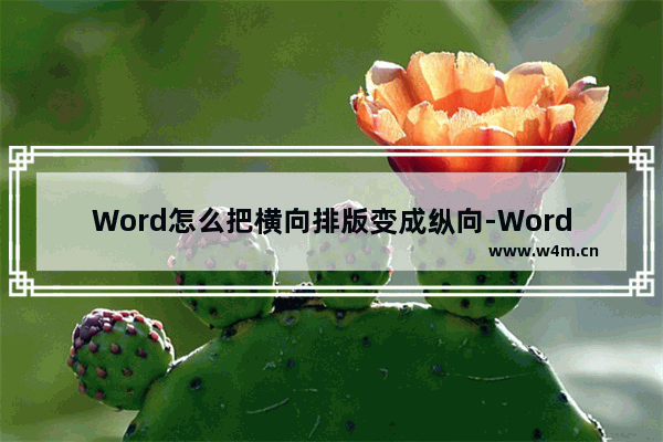 Word怎么把横向排版变成纵向-Word把横向排版变成纵向的方法