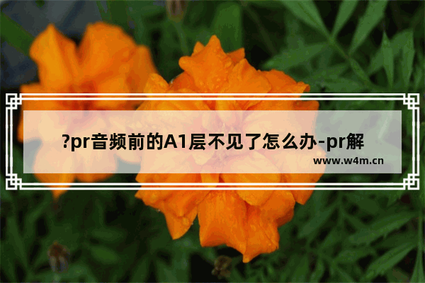 ?pr音频前的A1层不见了怎么办-pr解决编辑过程中音频层a1不见了的方法教程