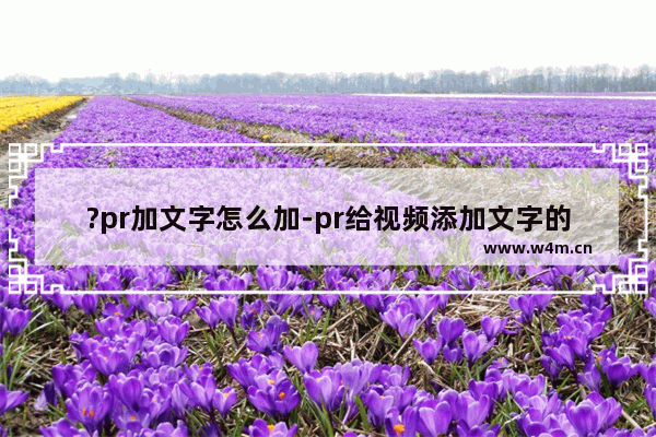 ?pr加文字怎么加-pr给视频添加文字的方法教程