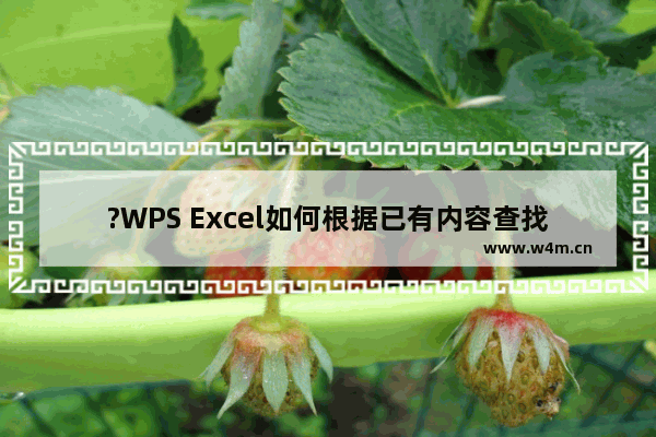 ?WPS Excel如何根据已有内容查找匹配数据-WPS表格使用查找录入功能匹配数据方法教程