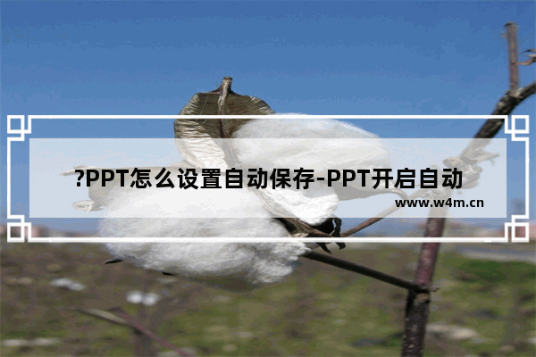 ?PPT怎么设置自动保存-PPT开启自动保存并设置间隔时间的方法教程