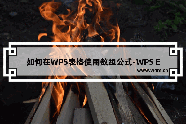 如何在WPS表格使用数组公式-WPS Excel表格中使用数组公式快速求和的方法