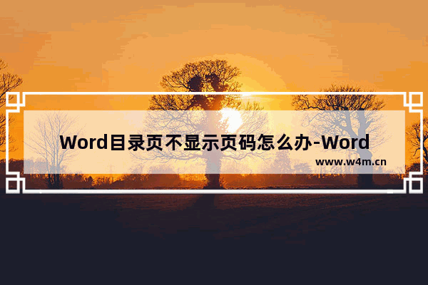 Word目录页不显示页码怎么办-Word目录页不显示页码的解决方法