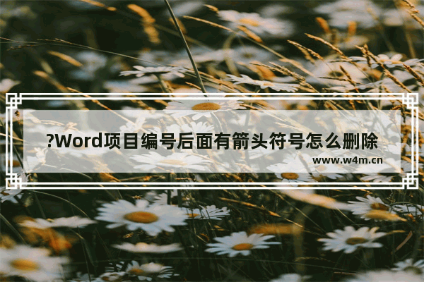 ?Word项目编号后面有箭头符号怎么删除-Word文档去掉项目编号后箭头符号的方法教程