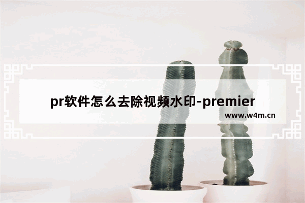 pr软件怎么去除视频水印-premiere去除视频中水印的方法