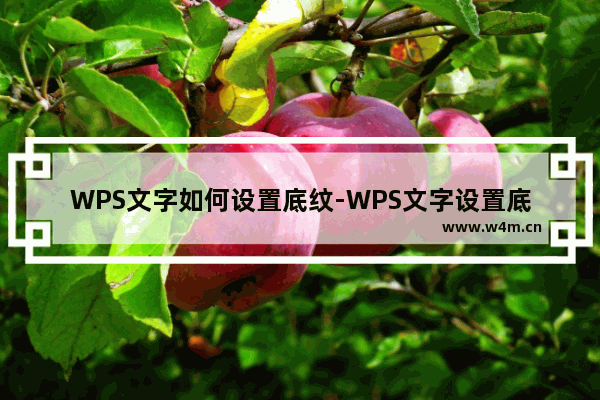 WPS文字如何设置底纹-WPS文字设置底纹的方法