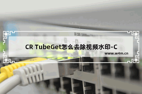 CR TubeGet怎么去除视频水印-CR TubeGet去除视频水印的方法