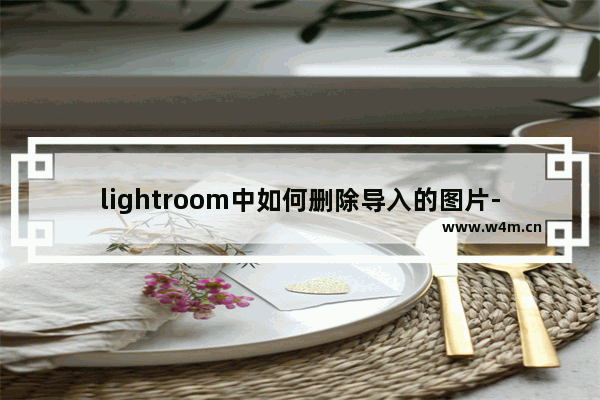 lightroom中如何删除导入的图片-lightroom中删除导入的图片的方法