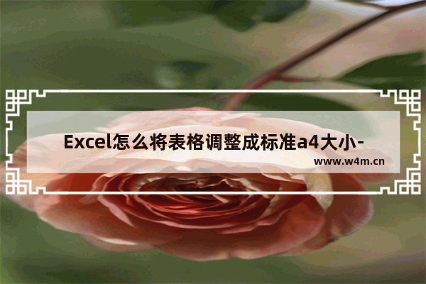 Excel怎么将表格调整成标准a4大小-Excel将表格调整成标准a4大小的方法