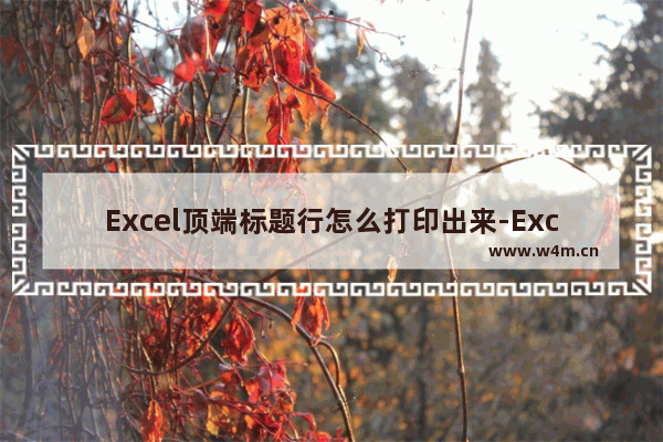 Excel顶端标题行怎么打印出来-Excel顶端标题行打印不出来的解决方法