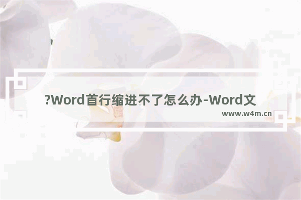 ?Word首行缩进不了怎么办-Word文档解决首行缩进2字符没反应的方法教程