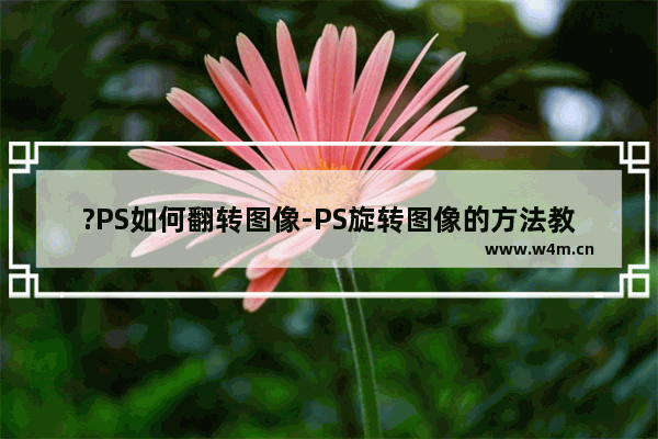 ?PS如何翻转图像-PS旋转图像的方法教程