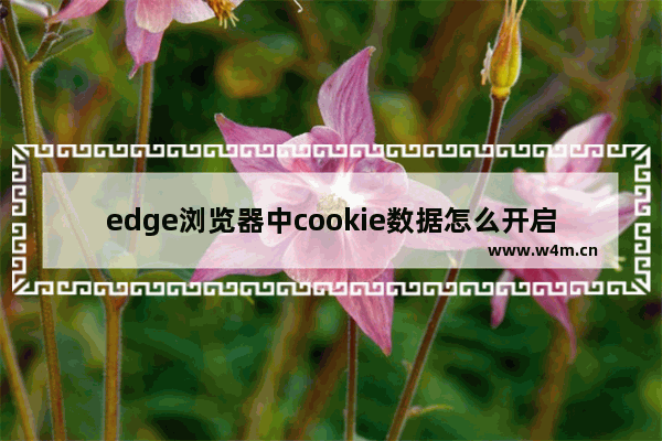 edge浏览器中cookie数据怎么开启-edge浏览器开启cookie的方法