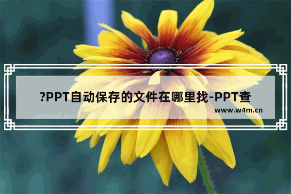 ?PPT自动保存的文件在哪里找-PPT查找自动保存文件位置的方法教程