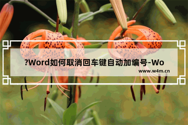 ?Word如何取消回车键自动加编号-Word文档取消按回车键就自动编号的功能的方法教程