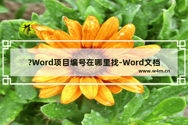 ?Word项目编号在哪里找-Word文档设置项目编号的方法教程