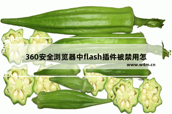 360安全浏览器中flash插件被禁用怎么办-360安全浏览器中flash插件被禁用的解决方法