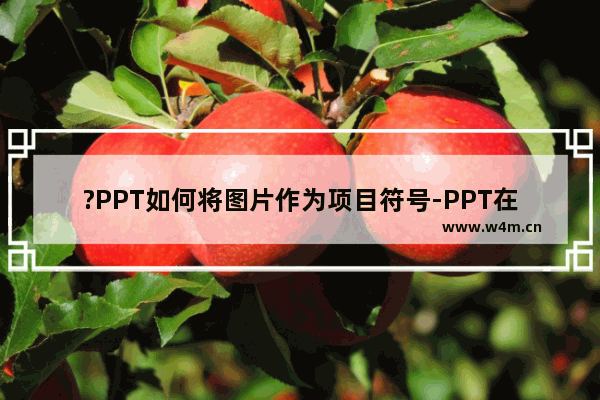 ?PPT如何将图片作为项目符号-PPT在文字前面添加图片项目符号的方法教程