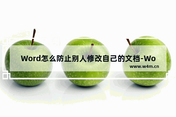 Word怎么防止别人修改自己的文档-Word开启文档保护的方法