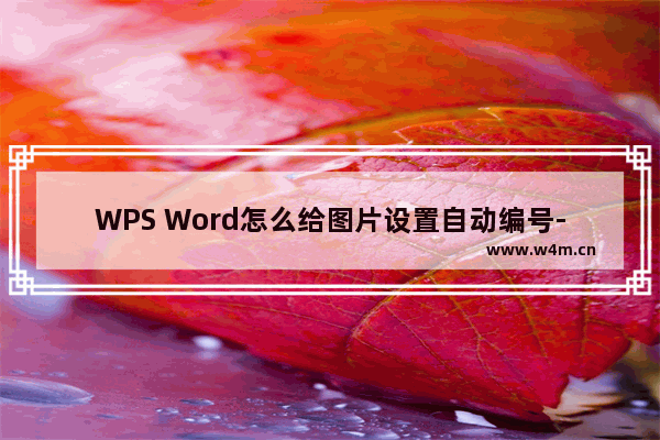 WPS Word怎么给图片设置自动编号-WPS Word设置图片自动编号的方法