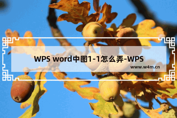 WPS word中图1-1怎么弄-WPS Word文档中图1-1的设置方法