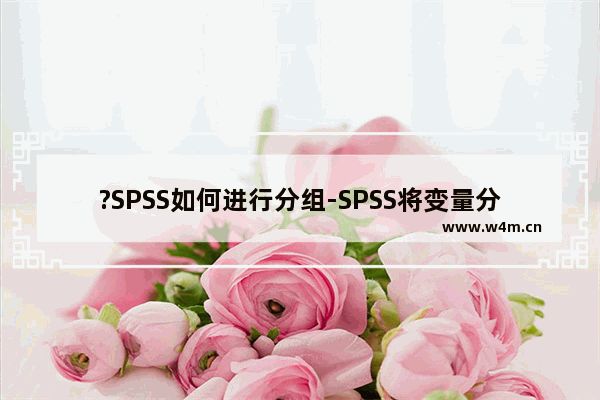 ?SPSS如何进行分组-SPSS将变量分组的方法教程