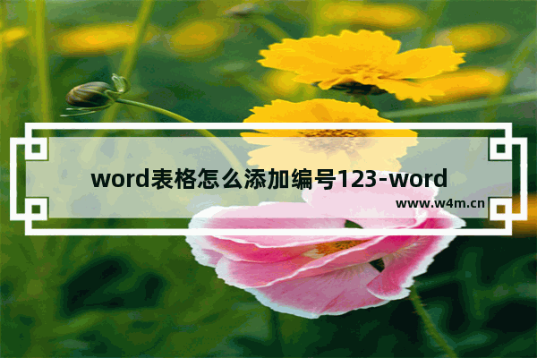 word表格怎么添加编号123-word表格自动编号123的方法