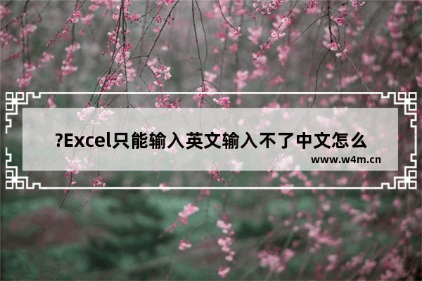 ?Excel只能输入英文输入不了中文怎么办-Excel表格解决无法打汉字只能打字母的方法教程