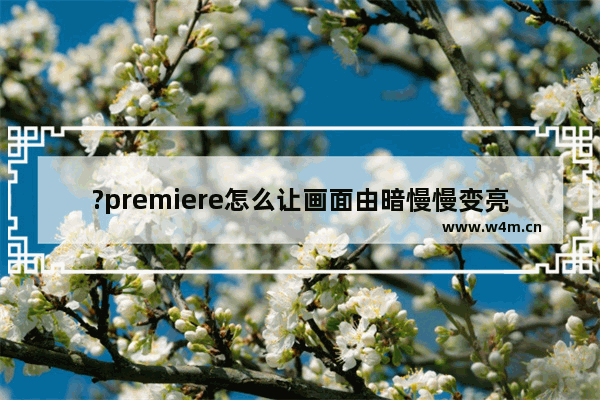 ?premiere怎么让画面由暗慢慢变亮-pr让画面逐渐出现的方法教程