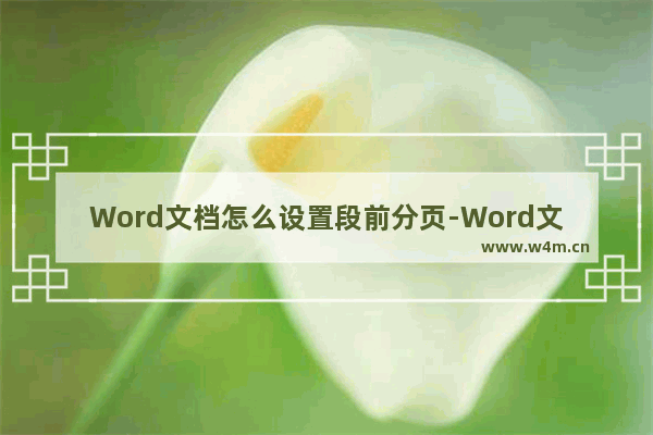 Word文档怎么设置段前分页-Word文档设置段前分页的方法