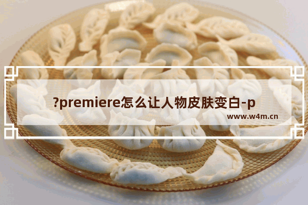 ?premiere怎么让人物皮肤变白-pr美白人物肤色的方法教程