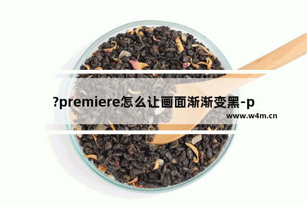 ?premiere怎么让画面渐渐变黑-pr设置视频结尾部分慢慢变黑直至彻底看不到的方法教程