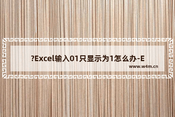 ?Excel输入01只显示为1怎么办-Excel表格解决输入01变成1的方法教程