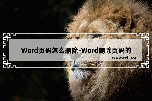 Word页码怎么删除-Word删除页码的方法