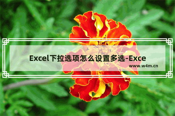 Excel下拉选项怎么设置多选-Excel下拉选择项多选设置方法