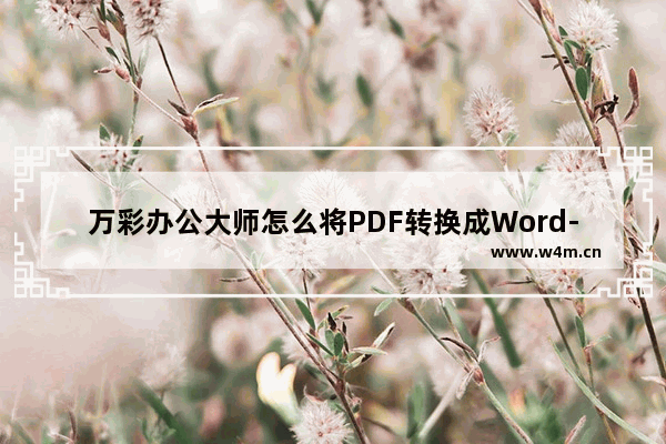 万彩办公大师怎么将PDF转换成Word-万彩办公大师将PDF转换成Word的方法