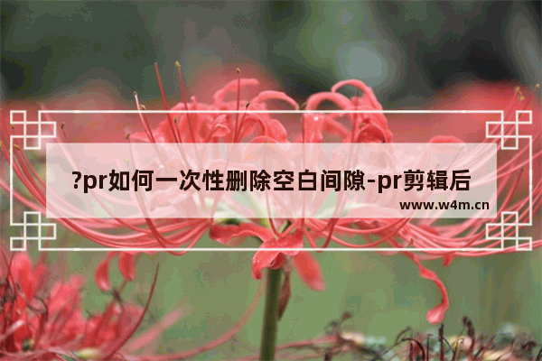 ?pr如何一次性删除空白间隙-pr剪辑后统一删除空隙的方法教程