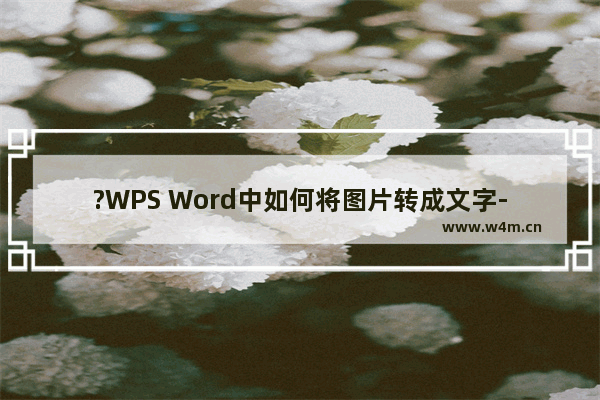 ?WPS Word中如何将图片转成文字-WPS文档将图片文字转成文字格式的方法教程