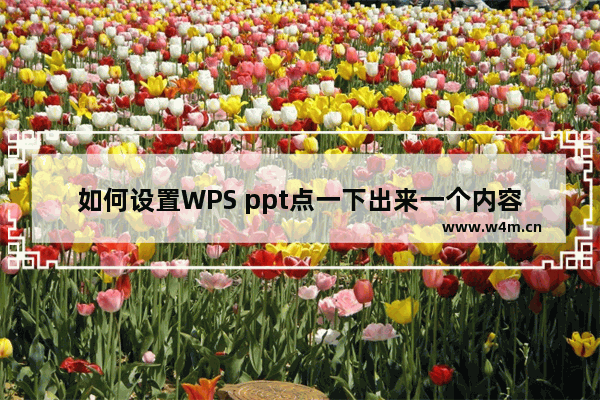 如何设置WPS ppt点一下出来一个内容-WPS ppt设置点一下出来一个动画的方法