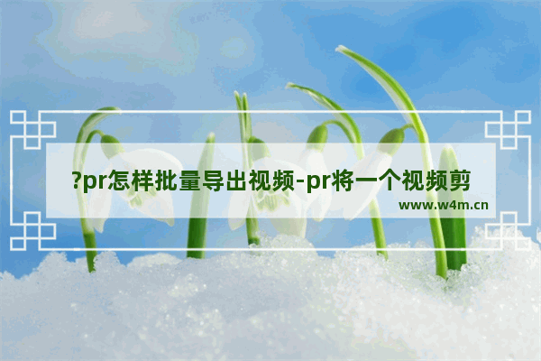 ?pr怎样批量导出视频-pr将一个视频剪成多段后一次性导出这些片段的方法教程