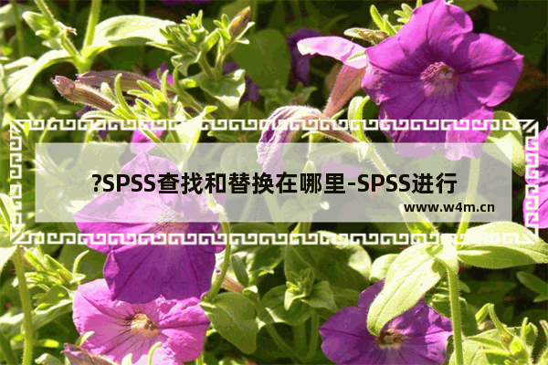 ?SPSS查找和替换在哪里-SPSS进行查找和替换的方法教程