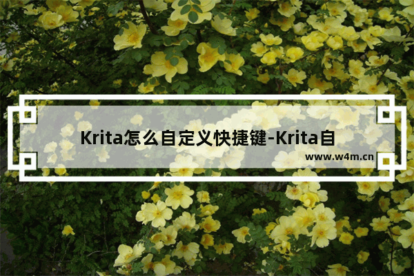 Krita怎么自定义快捷键-Krita自定义快捷键的方法