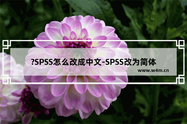 ?SPSS怎么改成中文-SPSS改为简体中文的方法教程