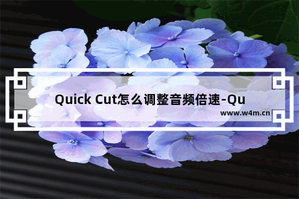 Quick Cut怎么调整音频倍速-Quick Cut设置音频倍速的方法